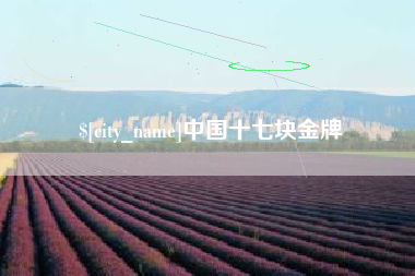 泰兴中国十七块金牌