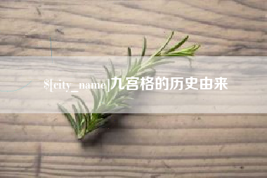 泰兴九宫格的历史由来