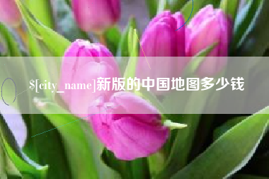 泰兴新版的中国地图多少钱