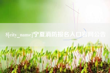 泰兴宁夏消防报名入口官网公告