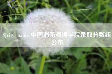 泰兴中国消防救援学院录取分数线公布