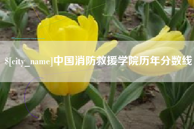 泰兴中国消防救援学院历年分数线
