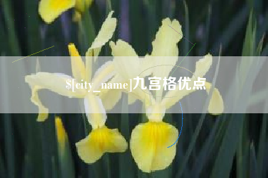 泰兴九宫格优点