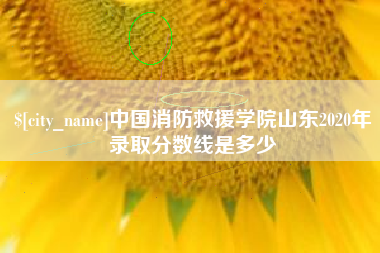 泰兴中国消防救援学院山东2020年录取分数线是多少