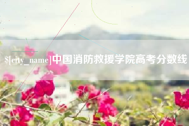 泰兴中国消防救援学院高考分数线