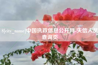 泰兴中国执政信息公开网-失信人员查询页