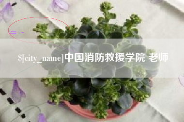 泰兴中国消防救援学院 老师