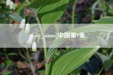 泰兴中国第9金