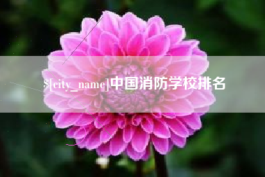 泰兴中国消防学校排名