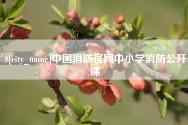 泰兴中国消防官网中小学消防公开课