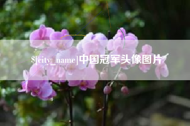 泰兴中国冠军头像图片