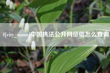 泰兴中国执法公开网征信怎么查询