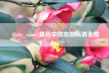 泰兴最新中国地图高清全图
