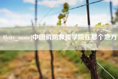 泰兴中国消防救援学院在那个地方