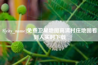 泰兴免费卫星地图高清村庄地图看到人实时下载