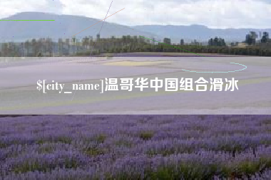泰兴温哥华中国组合滑冰