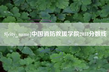 泰兴中国消防救援学院2018分数线