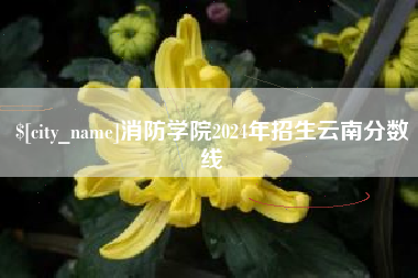 泰兴消防学院2024年招生云南分数线