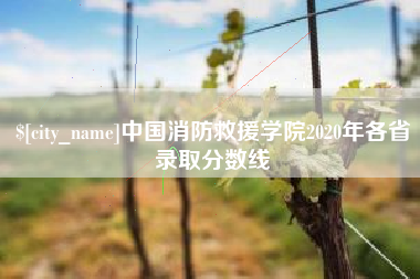 泰兴中国消防救援学院2020年各省录取分数线