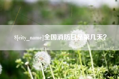泰兴全国消防日是第几天？