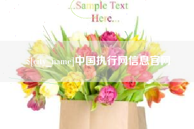 泰兴中国执行网信息官网