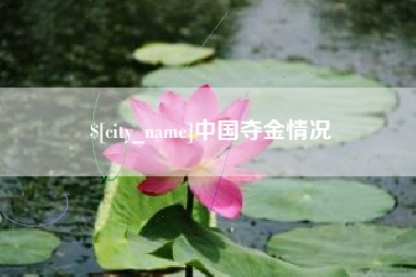 泰兴中国夺金情况