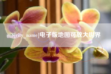 泰兴电子版地图可放大世界