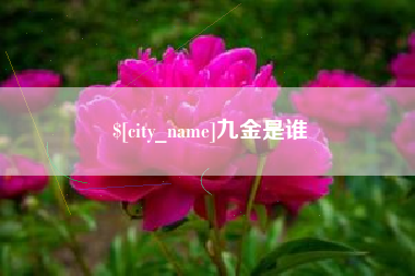 泰兴九金是谁