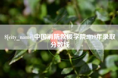 泰兴中国消防救援学院2019年录取分数线