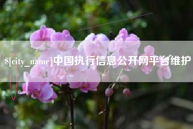 泰兴中国执行信息公开网平台维护