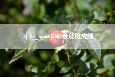 泰兴5000米及格成绩