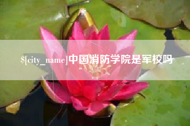 泰兴中国消防学院是军校吗