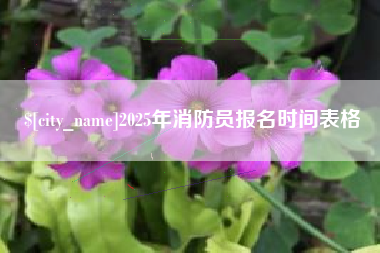 泰兴2025年消防员报名时间表格