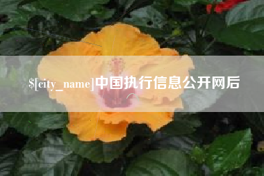 泰兴中国执行信息公开网后