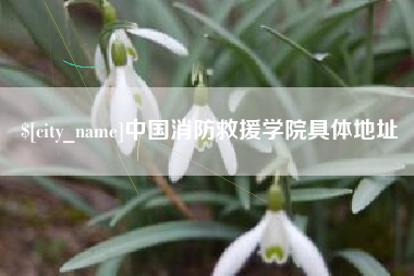泰兴中国消防救援学院具体地址
