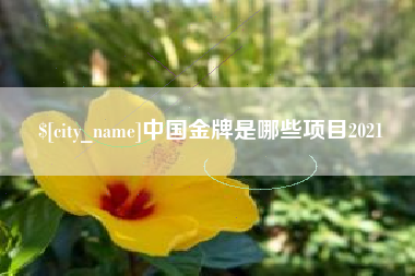 泰兴中国金牌是哪些项目2021
