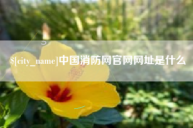 泰兴中国消防网官网网址是什么