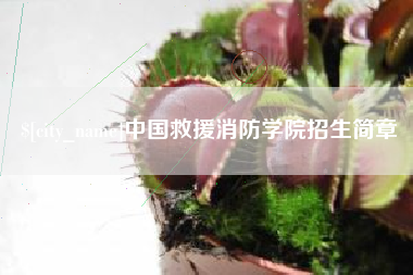 泰兴中国救援消防学院招生简章