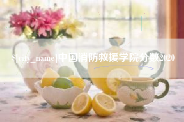 泰兴中国消防救援学院分数2020