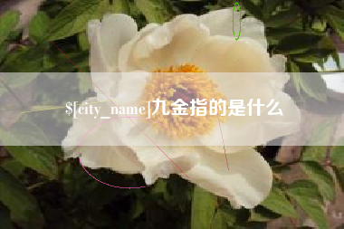泰兴九金指的是什么