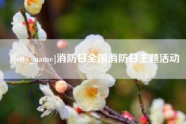 泰兴消防日全国消防日主题活动