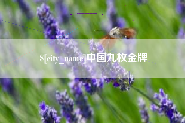 泰兴中国九枚金牌