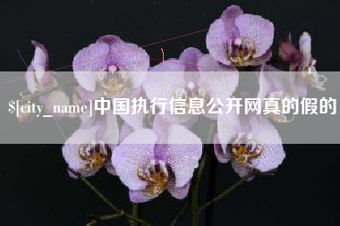 泰兴中国执行信息公开网真的假的