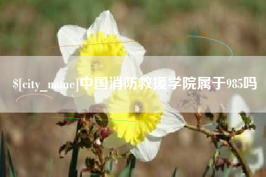 泰兴中国消防救援学院属于985吗