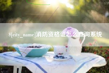 泰兴消防资格证怎么查询系统
