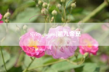 泰兴第九金是