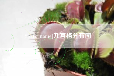 泰兴九宫格分布图