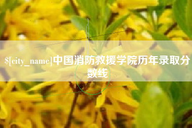 泰兴中国消防救援学院历年录取分数线
