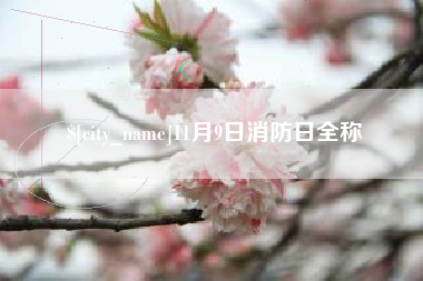 泰兴11月9日消防日全称