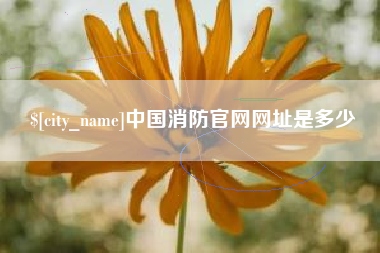 泰兴中国消防官网网址是多少